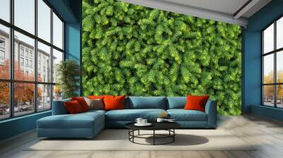 Dense greenery, background of fir branches, texture of branches, green juicy background Wall mural