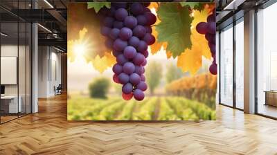 Grape isolated. Pink grape with leaves on white background. Violet red grapes flying collection. Full depth of field. Wall mural