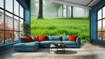 Green lawn with fresh grass against the backdrop of a foggy forest. Nature spring grass background texture Wall mural