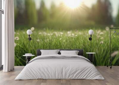 Green lawn with tall grass in the sun and a soft blurry background. Wall mural