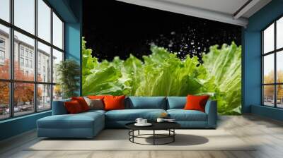 Photographing fresh, green, natural salads. Close-up. Fresh green salad exposed to splashes of water on a black background. Wall mural