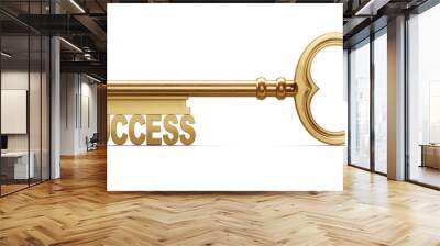 golden key to success is a front view isolated on white backgrou Wall mural