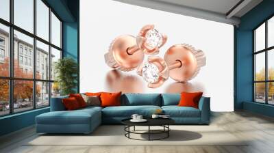 3D illustration two red rose gold diamonds screw post sterling  earrings with reflection Wall mural