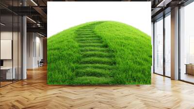 A path leading to the top of a grassy hill isolated on white background Wall mural