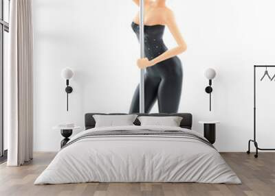 3d sexy girl pole dancing Wall mural