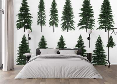 Fir trees isolated on white background Wall mural