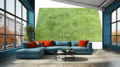 Modern green rug with high pile. 3d render Wall mural