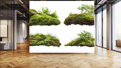 4 different green moss, bushes, and grass cutouts on a white background Wall mural