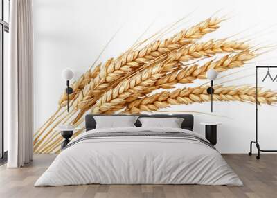 Wheat isolated on a white background, detailed photograph Wall mural