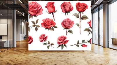 set red rose, beautiful flower on an isolated white background, watercolor vector illustration Wall mural