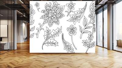 Hand-drawn flowers and leaves, Paisley Style, white background Wall mural