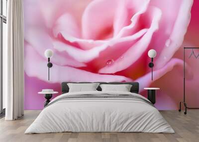 close-up pink rose with drops. vector illustration Wall mural