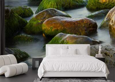 Stones, sea and green algae Wall mural