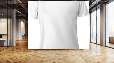 white hanging t shirt Wall mural