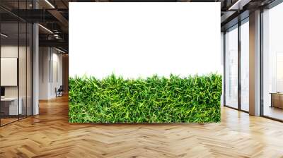 green grass Wall mural