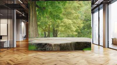 Wood podium tabletop floor in outdoors fresh green leaf tropical forest nature landscape background.healthy natural product present placement pedestal counter display,spring summer jungle concept. Wall mural