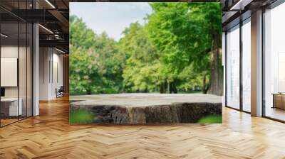 Wood tabletop podium floor in outdoors green leaf tropical forest nature landscape background.Organic healthy natural product present placement pedestal counter display,spring summer jungle concept. Wall mural