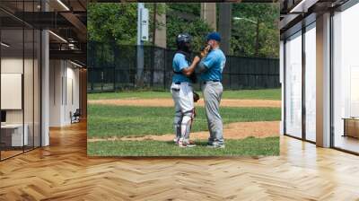 Pitcher and Catcher Talking Wall mural