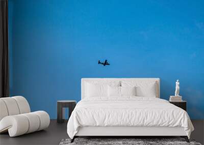 flying in the sky Wall mural