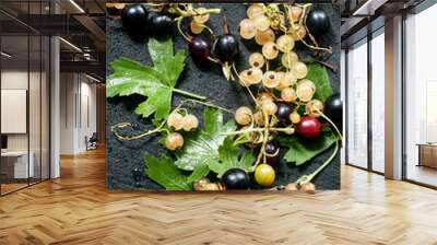 White and black currants with leaves on wet black stone backgrou Wall mural