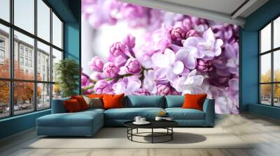 Blooming purple lilac flowers background, close up Wall mural