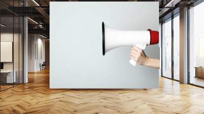 Female hand holding megaphone on grey background Wall mural