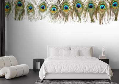 Peacock feathers isolated on white background Wall mural