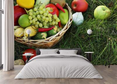 Ripe and tasty fruits and vegetables in basket on the grass Wall mural