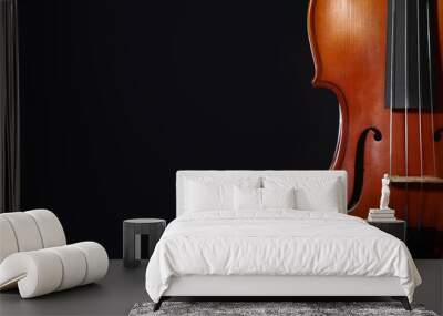 Violin on black background Wall mural