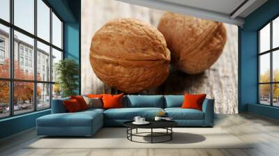 Walnut isolated on a white background Wall mural