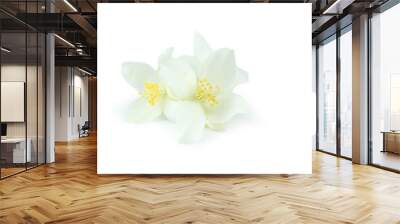 White flowers of jasmine isolated on white Wall mural