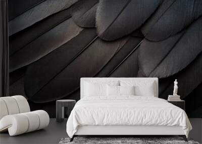 A macro shot of delicate black feathers, showing their fine details and smooth texture in high definition. Wall mural