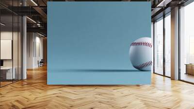 Baseball placed against a clean background with ample space for copy, simple and classic sports theme banner. Wall mural