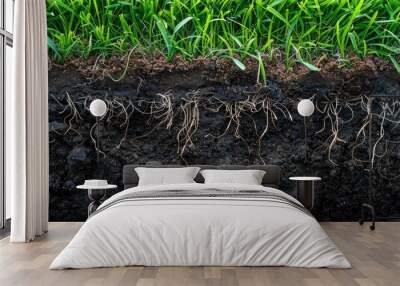 Detailed cross-section of green grass turf, with visible roots and soil layers, vibrant grass blades contrasting with the dark soil Wall mural