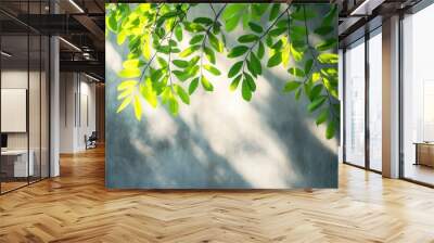 Soft shadows of tree leaves on a grey concrete wall outdoors, creating a minimal abstract backdrop for product presentation with natural light. Wall mural