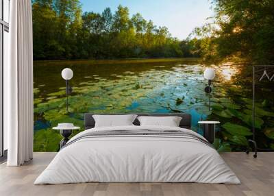 Forest landscape with a lake. Calm water in the lake. Wall mural