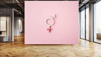 Gender symbols with pink background empty space to text Wall mural