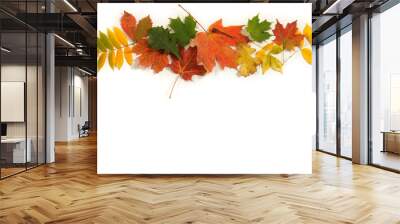 Collection of colorful Autumn leaves with room for copy space. Wall mural