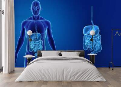 Digestive system zoom with organs anterior view Wall mural