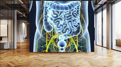 nervous system with lymph nodes Wall mural