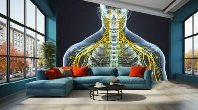 nervous system with lymph nodes Wall mural