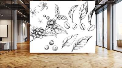 Coffee line art line drawing Hand-drawn coffee tree branches.  illustration for coffee shops, cafes, and restaurants. Wall mural