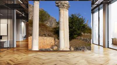 two column in ephesus. Wall mural