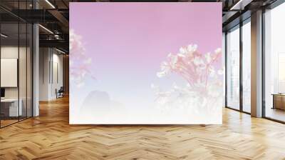 white flower and sky background with soft focus and color gradie Wall mural