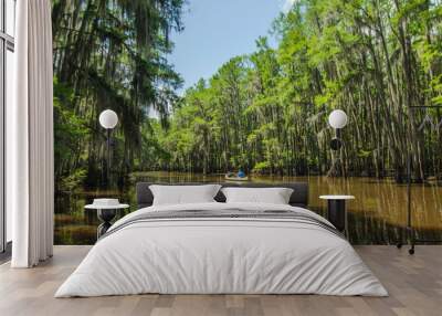 Horizontal picture of a parent with a kid rowing in a canoe on a lake with cypress trees in a water. Caddo Lake state park, Texas. Wall mural