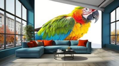 A Colorful Macaw Parrot Wall mural