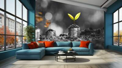 The seedlings are growing on the coins, thinking about financial growth. Wall mural