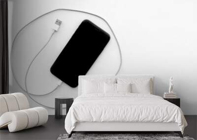 Usb cable for charging smartphone or laptop, top view Wall mural