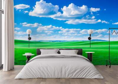 meadow, grassland, landscape,agriculture,lawn, field,  sky, cloud,  flower, nature, spring,Background image of a vast green field under a bright blue sky. bright green grass Receives light well The ba Wall mural