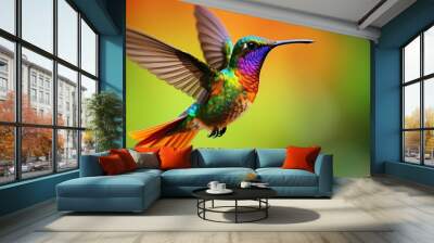 Wide-billed Hummingbird. background Wall mural